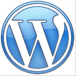 The Best Premium Wordpress Themes