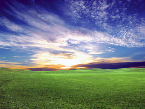 Wake up, We are the Ones We are Waiting for. Be all you can be, Play your part well....