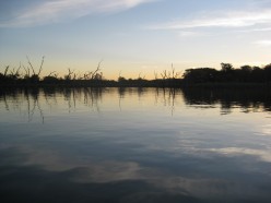 http://s2.hubimg.com/u/5169325_f248.jpg