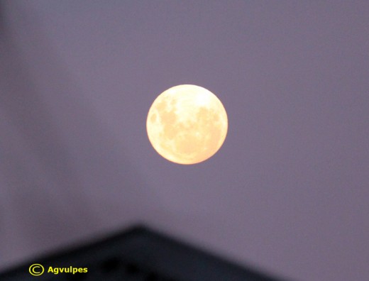 Full Moon ( Super Moon ) The Moon in all of its brilliant splendor - No Eclipse here !!!