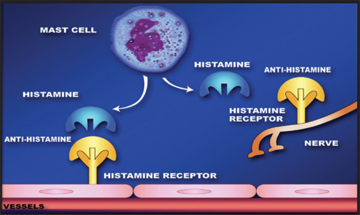 do antihistamines react with other drugs