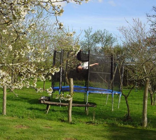The new ttrampoline in the garden