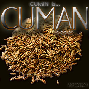CUMIN IS COOL-MAN! Cumin has many healthful nutrients, as well as a spectacular flavor profile.