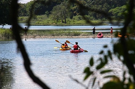 A group of kayakers explored and paddled along Gray's Creek as viewed from Westport's Compo Beach Road. Larry Untermeyer for WestportNow.com
