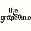 TheGrapevine profile image