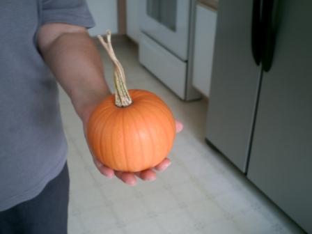 Mature pumpkin.  This is a small type pumpkin.
