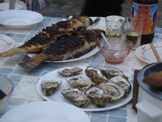 oyster & fish in Corsica, France