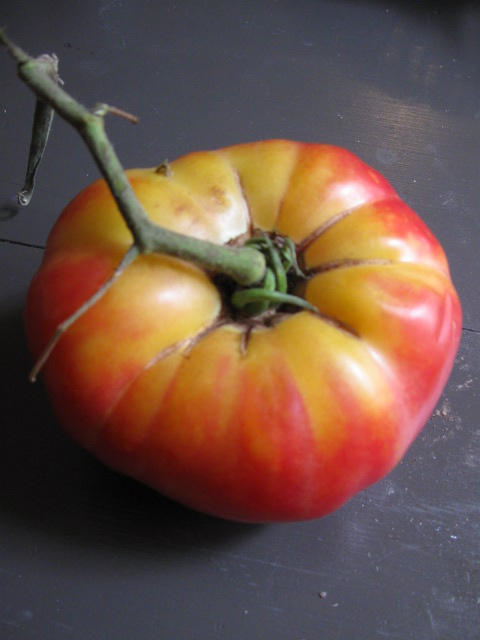 A tomato from La Vista Community Supported Garden