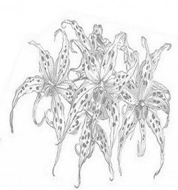 Floral Arrangement Coloring Pages and Free Colouring Pictures to Print