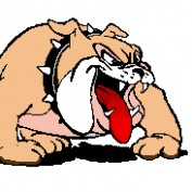 Bornagain profile image