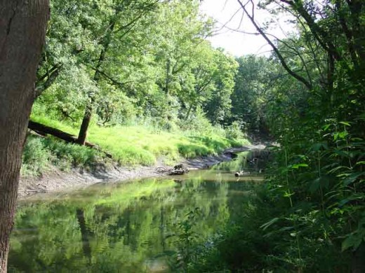 Shoal Creek at Haun's Mill