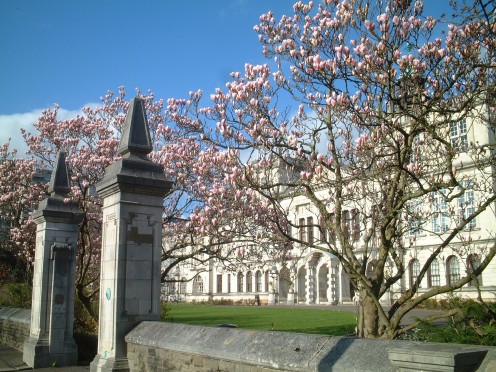 Cardiff University Main Building entrance