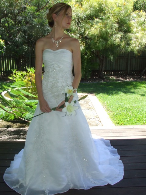 A-Line Dresses are similar to Ball Gowns, but not quite as flared below the waist.
