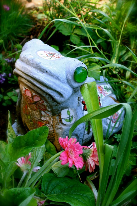 A frog in the flower bed.