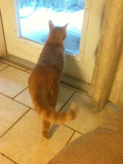 I gaze out to see what I am missing.