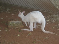 http://s3.hubimg.com/u/5210278_f248.jpg