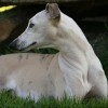 Jenny Gardner profile image