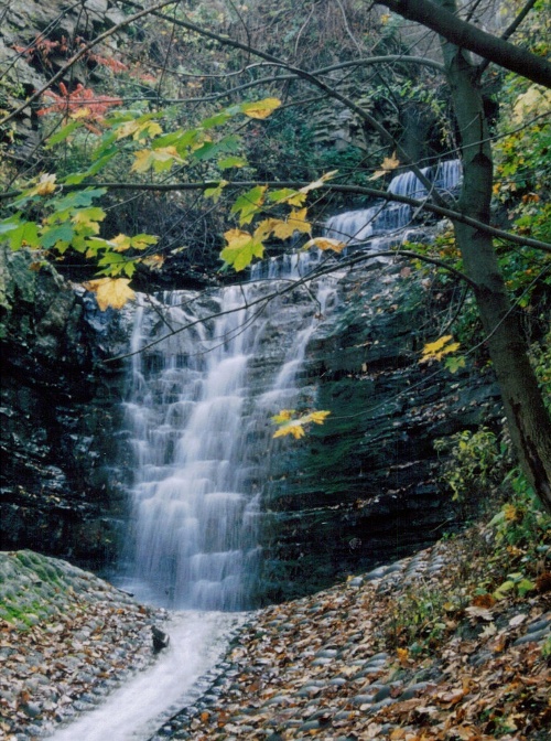 Mountview Falls as it looks today.