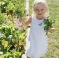 Guide to Planting a Vegetable Garden: Follow the Sun!