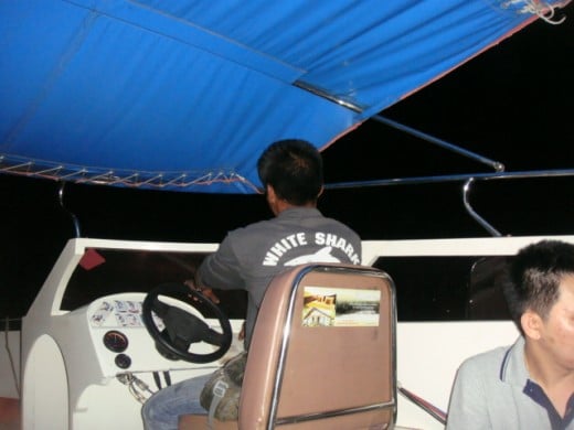 The Driver 