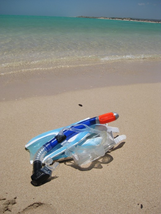 Snorkeling at Ningaloo Reef 