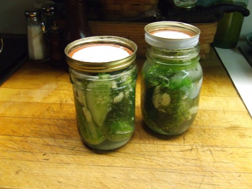 Then remove the lid and set the jar out of direct sun light with the lid slightly covering the entire jar top.  Let it sit out until the water looks cloudy.  Screw on the lid. Then keep in refrigerator for 2 weeks.