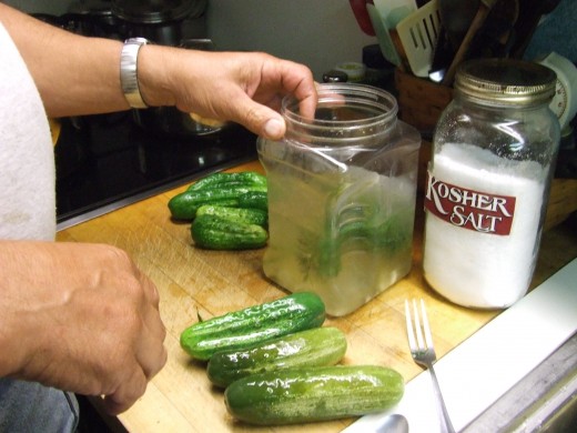 We add fresh cleaned and poked cucumbers with a little Kosher salt, garlic and fresh dill from the garden, to Dill Pickles that we bought from the store. In a few days they are perfect Dill Pickles.