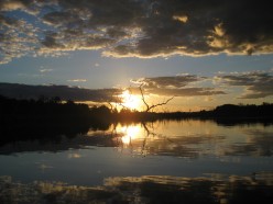 http://s3.hubimg.com/u/5229162_f248.jpg