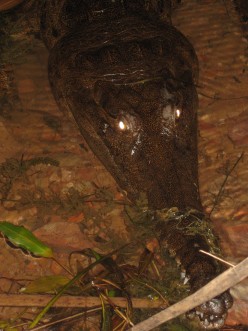 http://s3.hubimg.com/u/5230482_f248.jpg