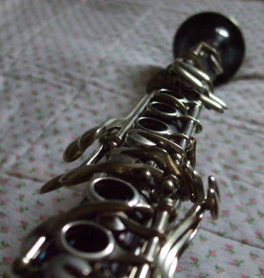 For the record, I am told that this instrument is harder to play than a saxophone.