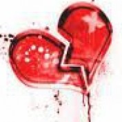 Andrea Fernandes profile image