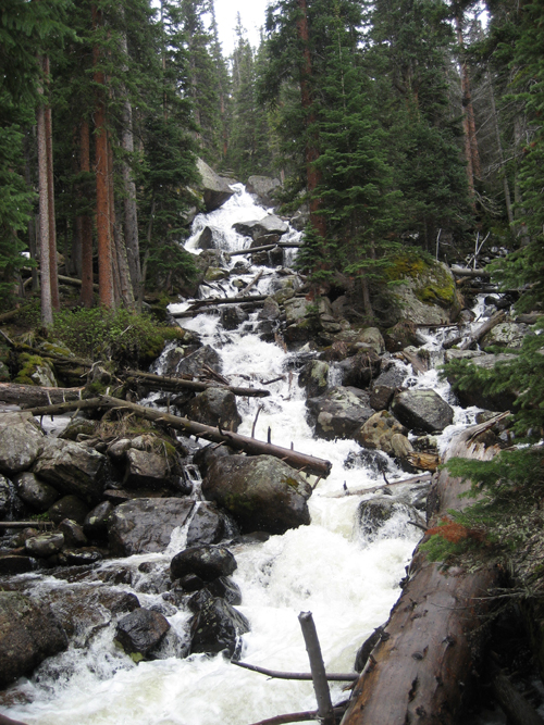 Calypso Cascades, a beautiful vista along one of my favorite hikes in RNMP