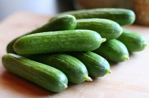 Pickling Pickles