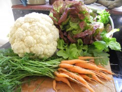 Vegetarian Main Courses - Winter Vegetable Hot-Pot
