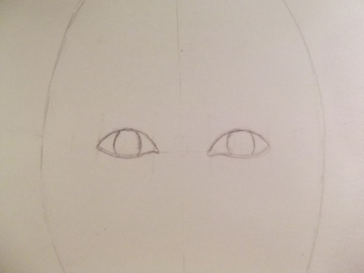 The lower eyelid and iris.