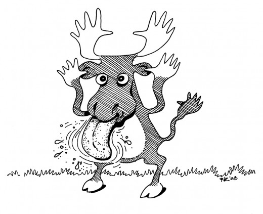 Rude Moose