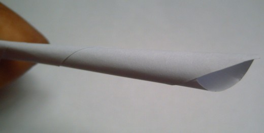 I rolled the paper into a cone-like structure, the outer tip will be loose while the other a little tight to fit my ear. (Photo by Travel Man)