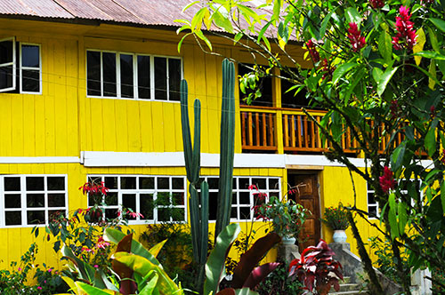 Yellow House 