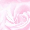 velvety profile image