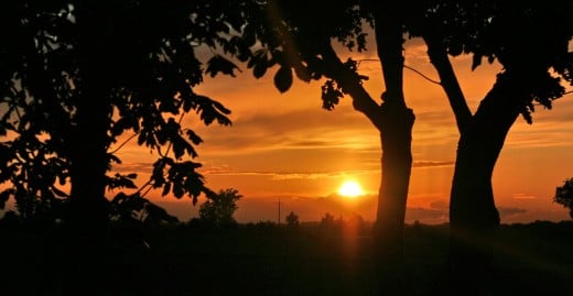 Bild "Goldener_Himmel-Sonnenuntergang" von bilder.n3po.com