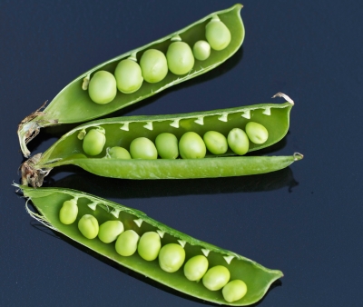 Peas in a pod, literally.