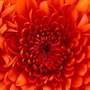 kwarcim profile image