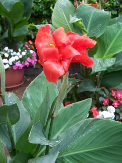 http://s1.hubimg.com/u/5268928_f248.jpg