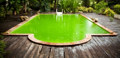 Can Biofuels From Algae or Garbage Solve Our Energy Problems?