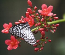 http://s1.hubimg.com/u/5276076_f248.jpg