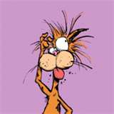 HubPages profile picture for @buffet