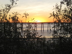 http://s2.hubimg.com/u/5281329_f248.jpg