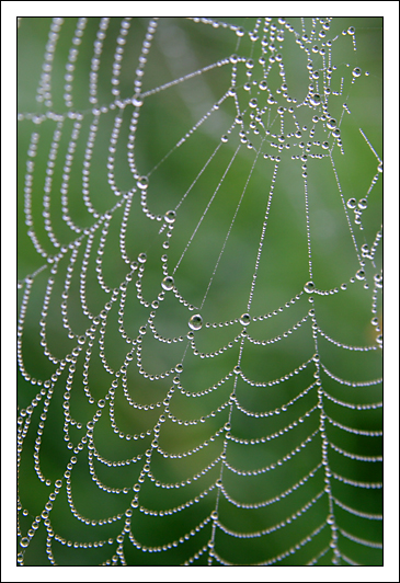 Getting Free from Webs