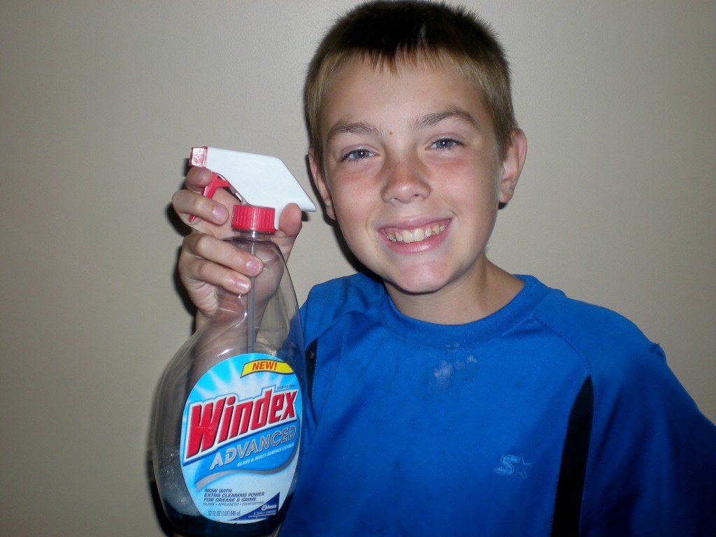 How to get stains out using Windex