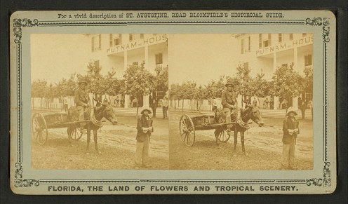 A stereoscopic photo of an ex-slave receiving his "40 acres and a mule"